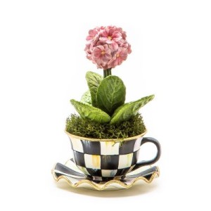 فنجان زهرة الربيع